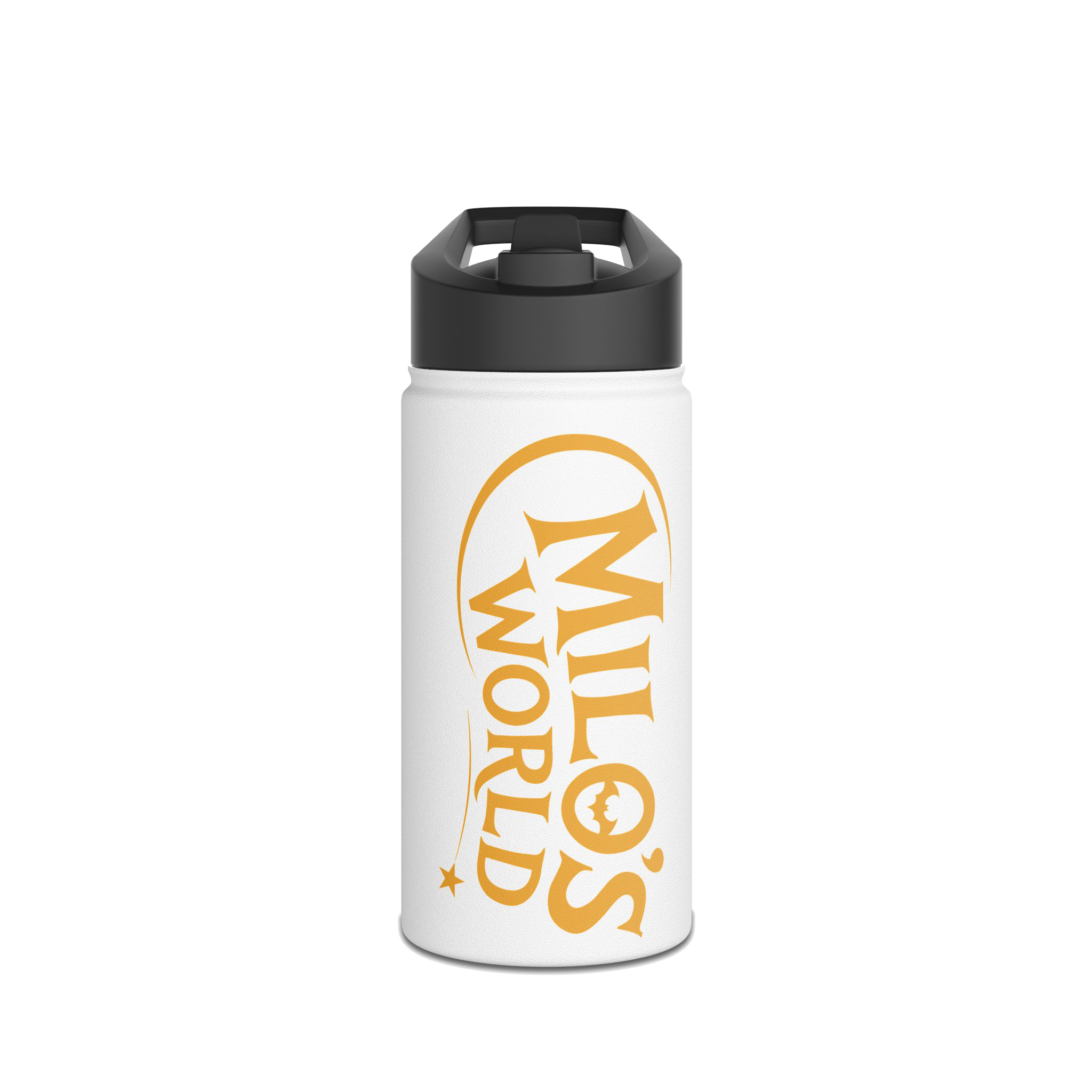 Stainless Steel Water Bottle, Standard Lid